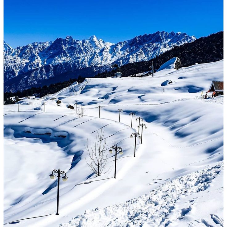 Auli Joshimath